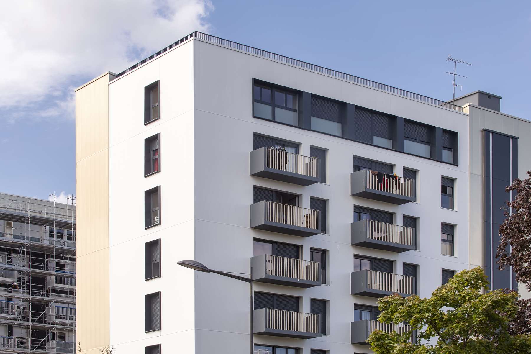 EVREUX Platanes marronniers ISORE
